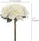12-Pack 12-Inch Cream Rose Bouquet - 6 Silk Flowers with Lifelike Foliage, Elegant Floral Décor for Events & Home - Perfect for All Seasons, Floral Home by Artificial Flowers